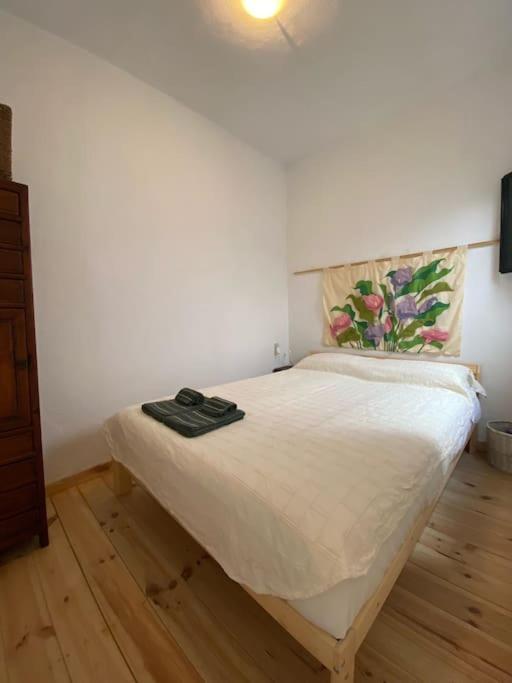 Agradable Casa Rural Con Suelos De Madera 圣奥拉利亚德尔卡拉 外观 照片