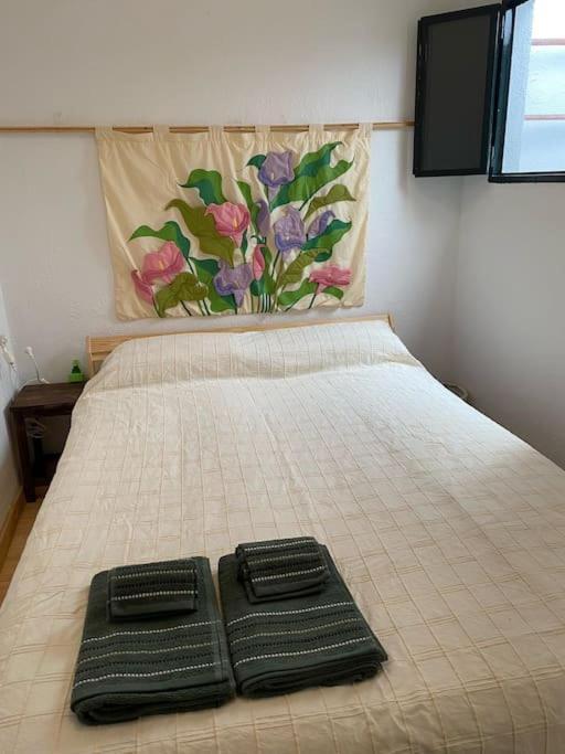 Agradable Casa Rural Con Suelos De Madera 圣奥拉利亚德尔卡拉 外观 照片